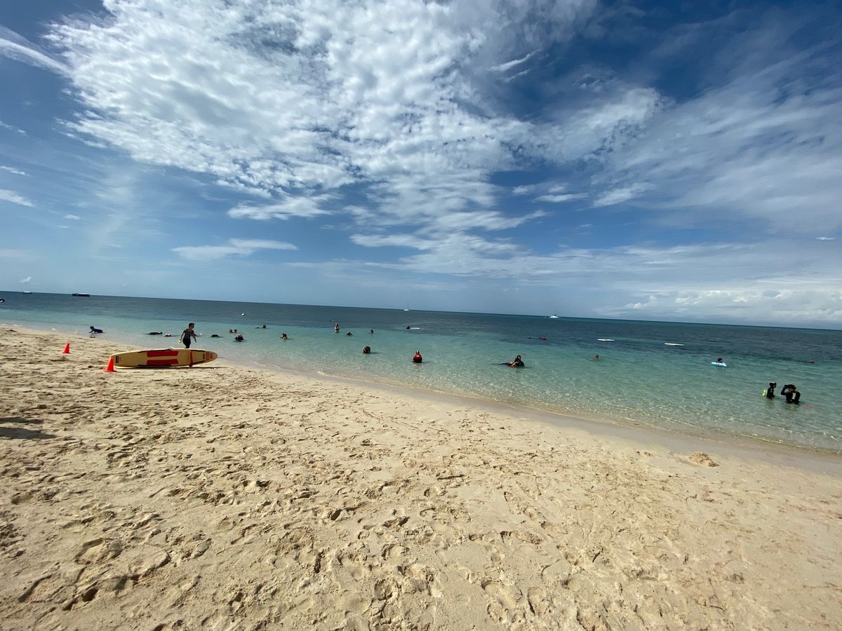 グリーン島🌴𓇢𓅮