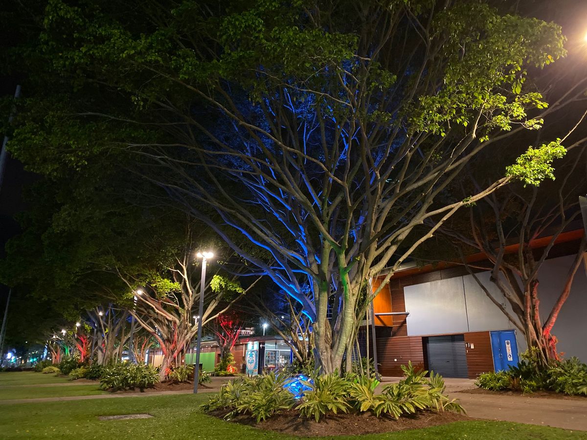 ワニ🐊とカンガルー🦘の肉を初めて食べた😳
ワニの肉は、特に美味しかった😋！
