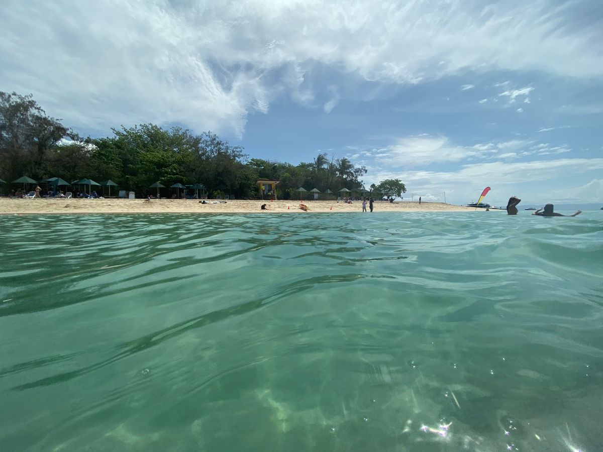 グリーン島🌴𓇢𓅮