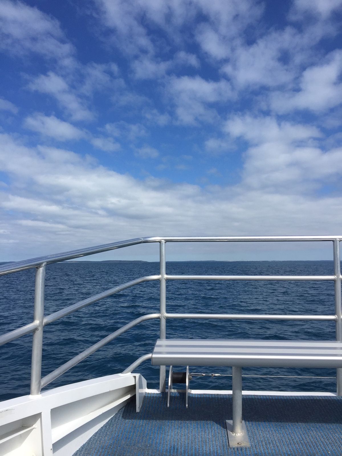 ホエールウォッチングへ。バッチリ現れてくれたクジラさん🐋