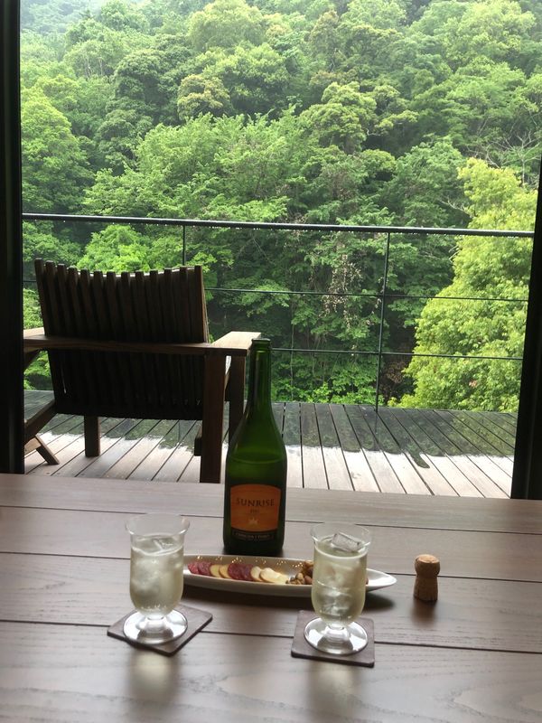 日本・静岡県「伊豆・修善寺　女子旅「アルカナ・イズ」」の写真：友人がチョイスしてくれたホテル「アルカナ...