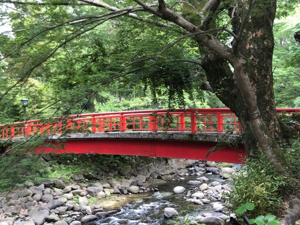 日本・静岡県「伊豆・修善寺　女子旅「アルカナ・イズ」」の写真