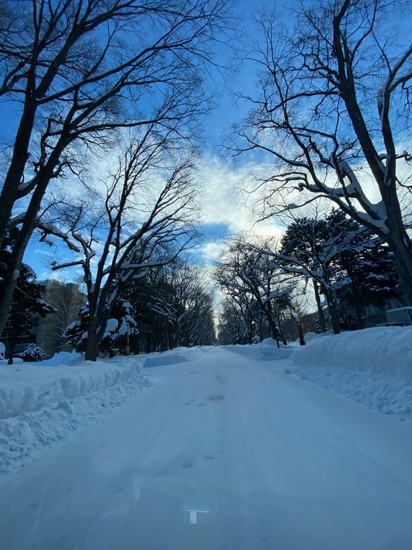 日本・北海道「2度目の札幌」の写真