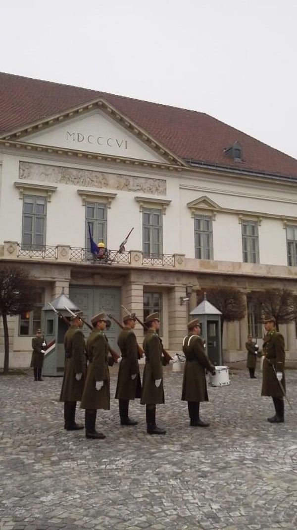 ハンガリー・ブダペスト「ブダペスト・ウィーン」の写真：ブダ王宮の衛兵交代式。