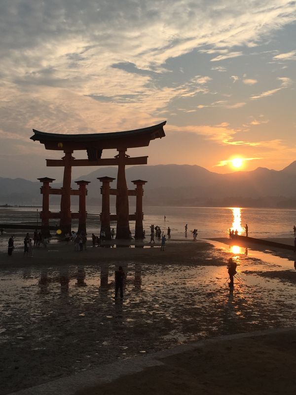 日本・宮島「広島（宮島）推し活遠征」の写真