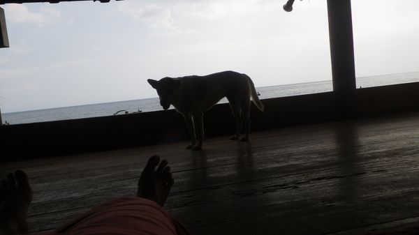 中国「大阪南港→ 上海→ マニラ→ セブシティ→マニラ→シンガポール→ バリ島→ ロンボク→ ギリトラワンガン→ ロンボク→ バリ島→ バンコク→ パタヤ→ バンコク→ アユタヤ→バンコク→アンヘレス→ マニラ→ 関空」の写真