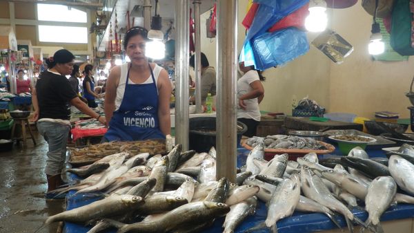 香港「関空 → 香港→マニラ→アンヘレス→サンフェルナンド→アンヘレス→マニラ→セブシティ→ダバオ→サマール島→ダバオ→ビスリグ→ダバオ→カガヤンデオロ→セブシティ→ボホール島→セブシティ→マニラ→アンヘレス→マニラ→関空」の写真