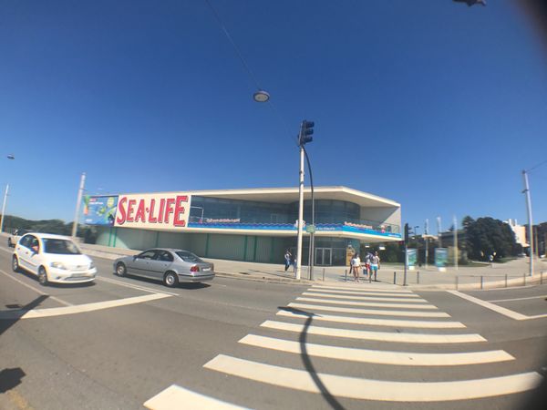 ポルトガル・Porto「SEA LIFE Centre Porto」の写真
