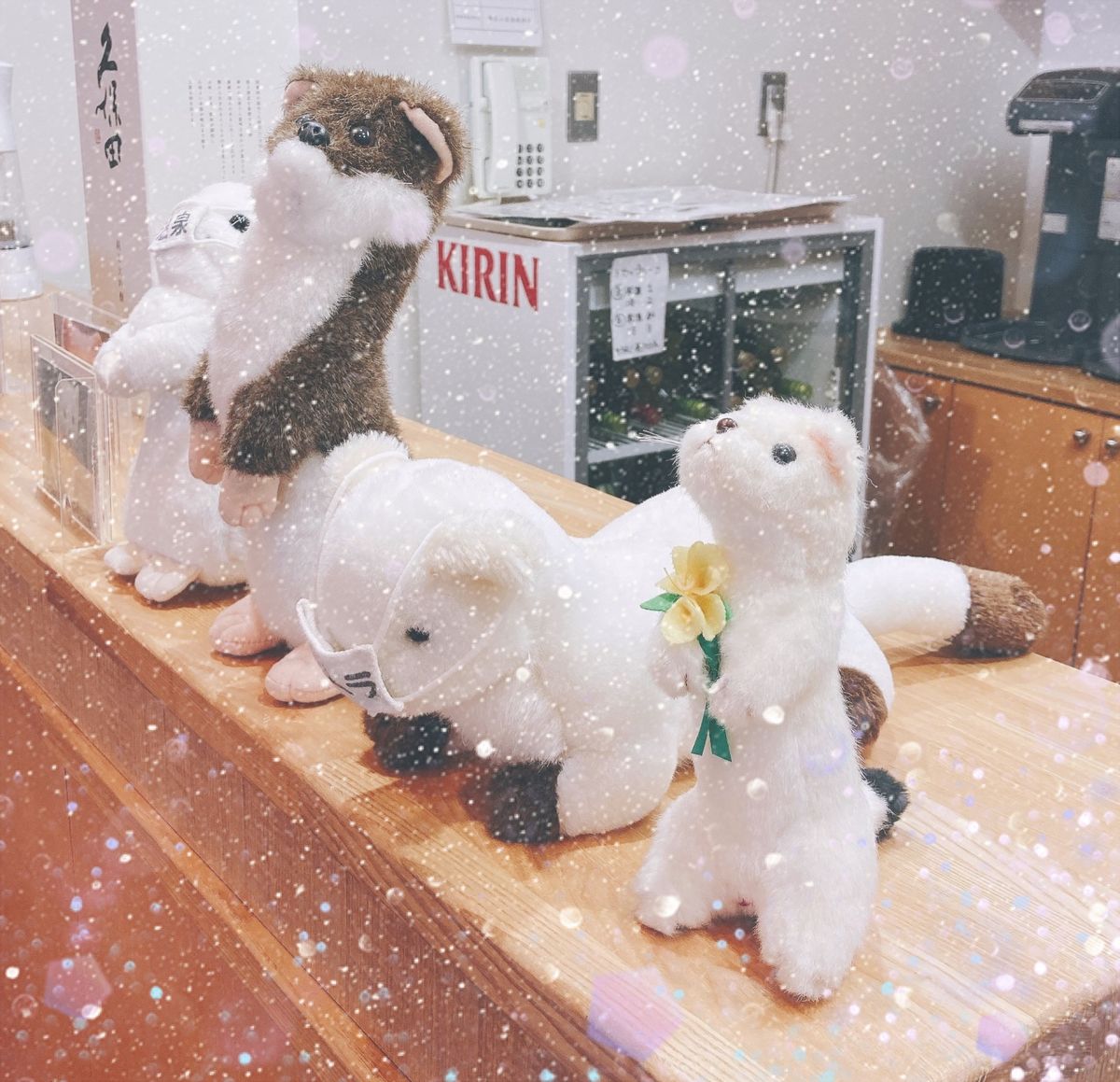 エゾクロテンは近距離から見れました(^^)