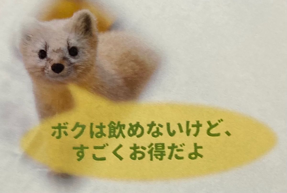 エゾクロテンは近距離から見れました(^^)