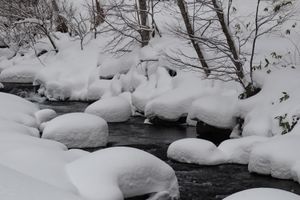 冬は雪が多いので除雪車が稼働しています