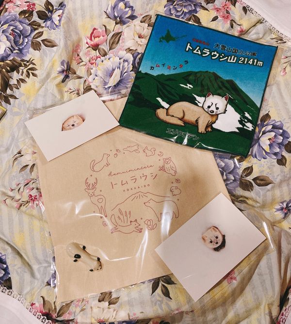 日本・北海道「トムラウシ温泉」の写真：冬は雪が多いので除雪車が稼働しています