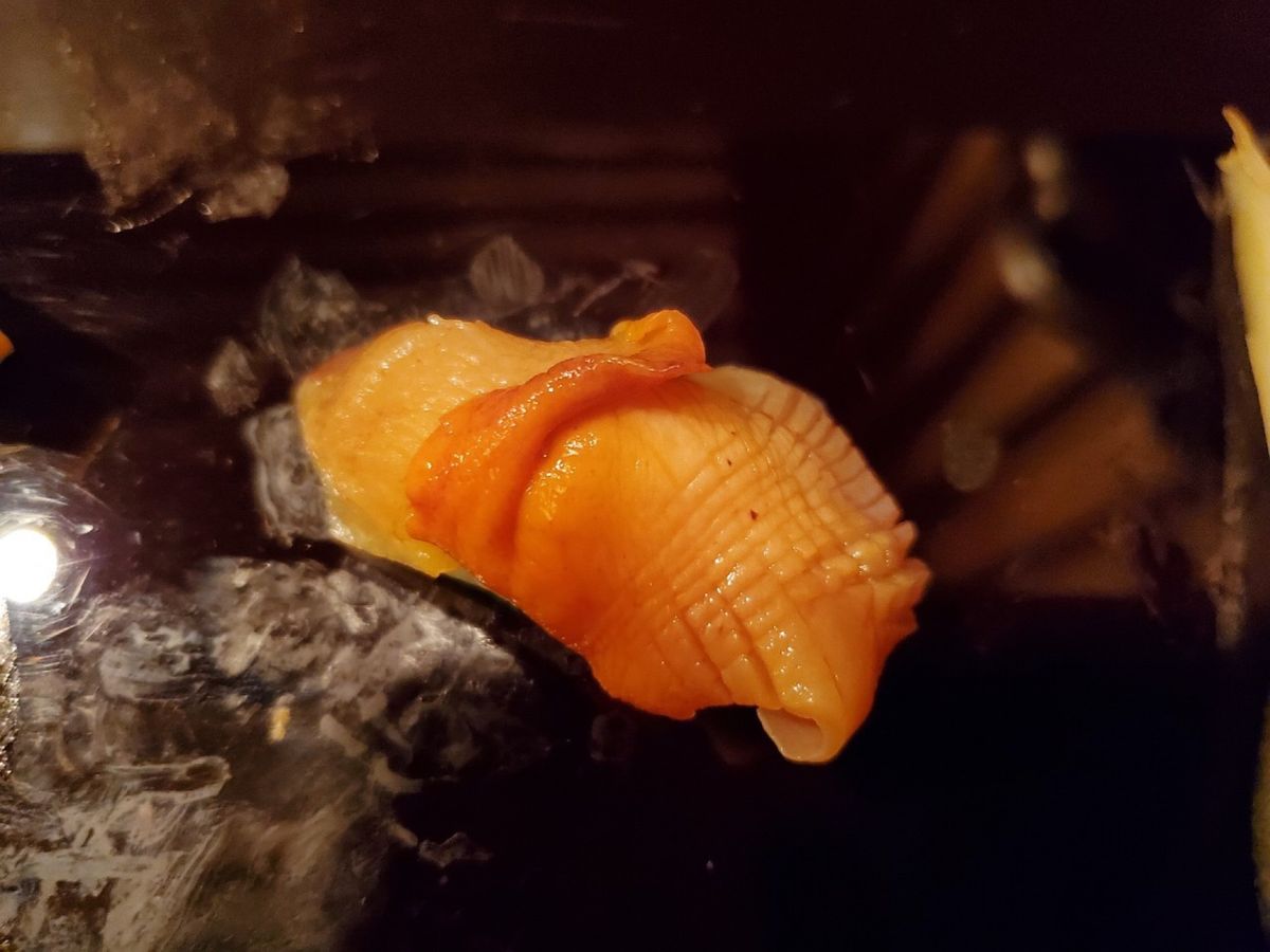 お寿司🍣最高😭
大将もとっても良い人だったし、一品料理も肴も絶品すぎ✨絶対...