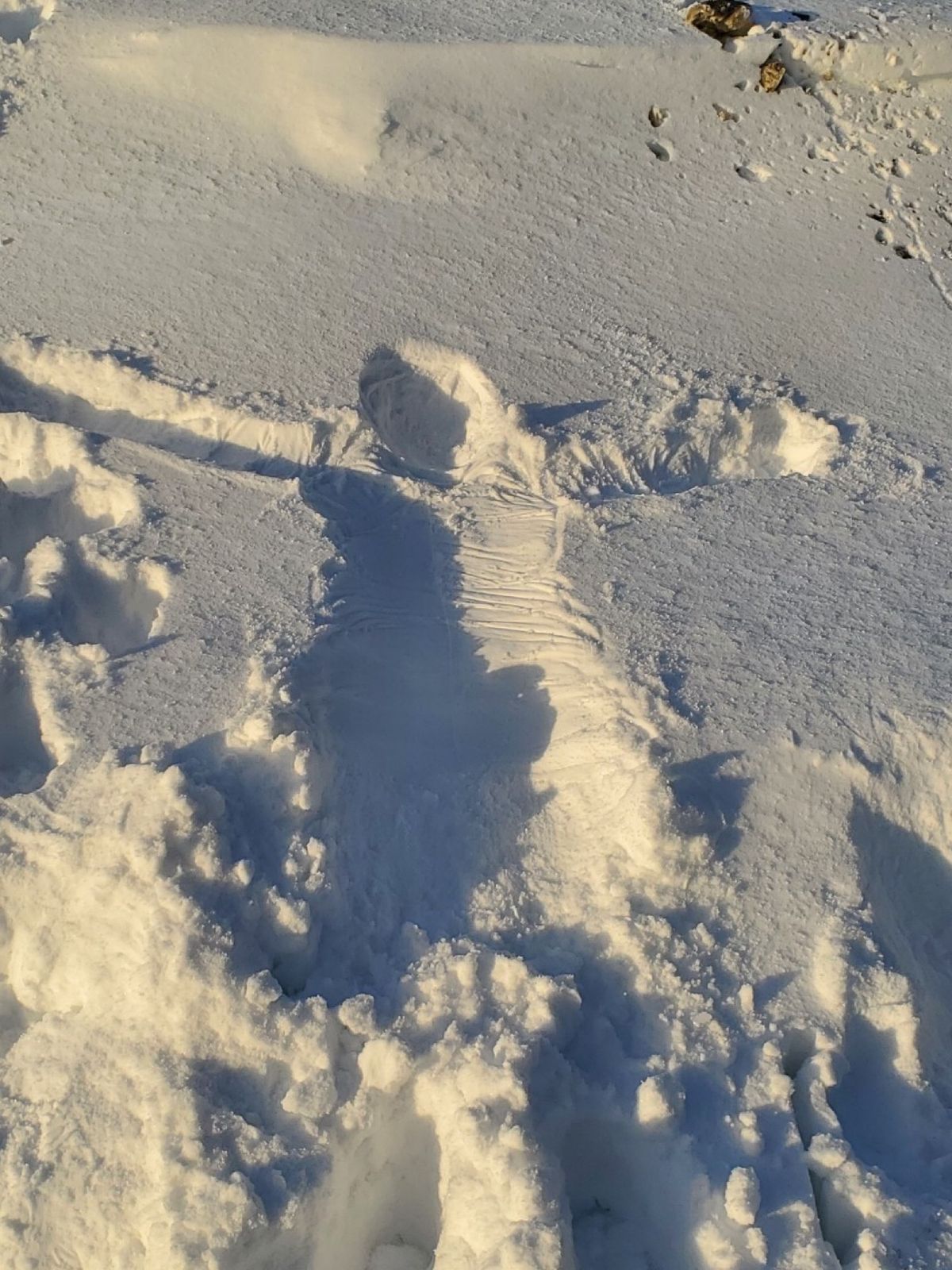 雪しかない❄️
こまば木のひろばもう少し早く行けばリス🐿も見れたかもしれな...