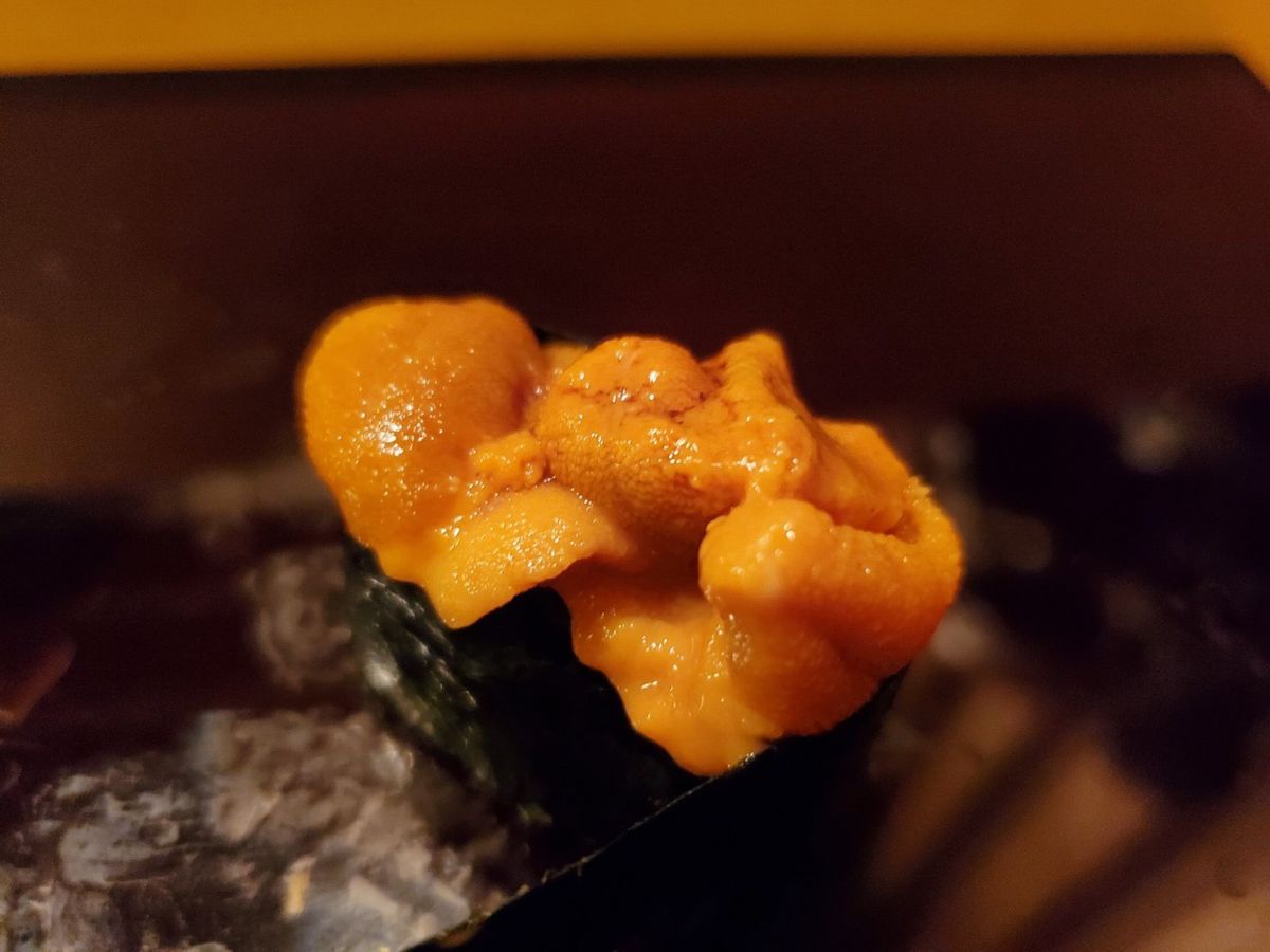 お寿司🍣最高😭
大将もとっても良い人だったし、一品料理も肴も絶品すぎ✨絶対...