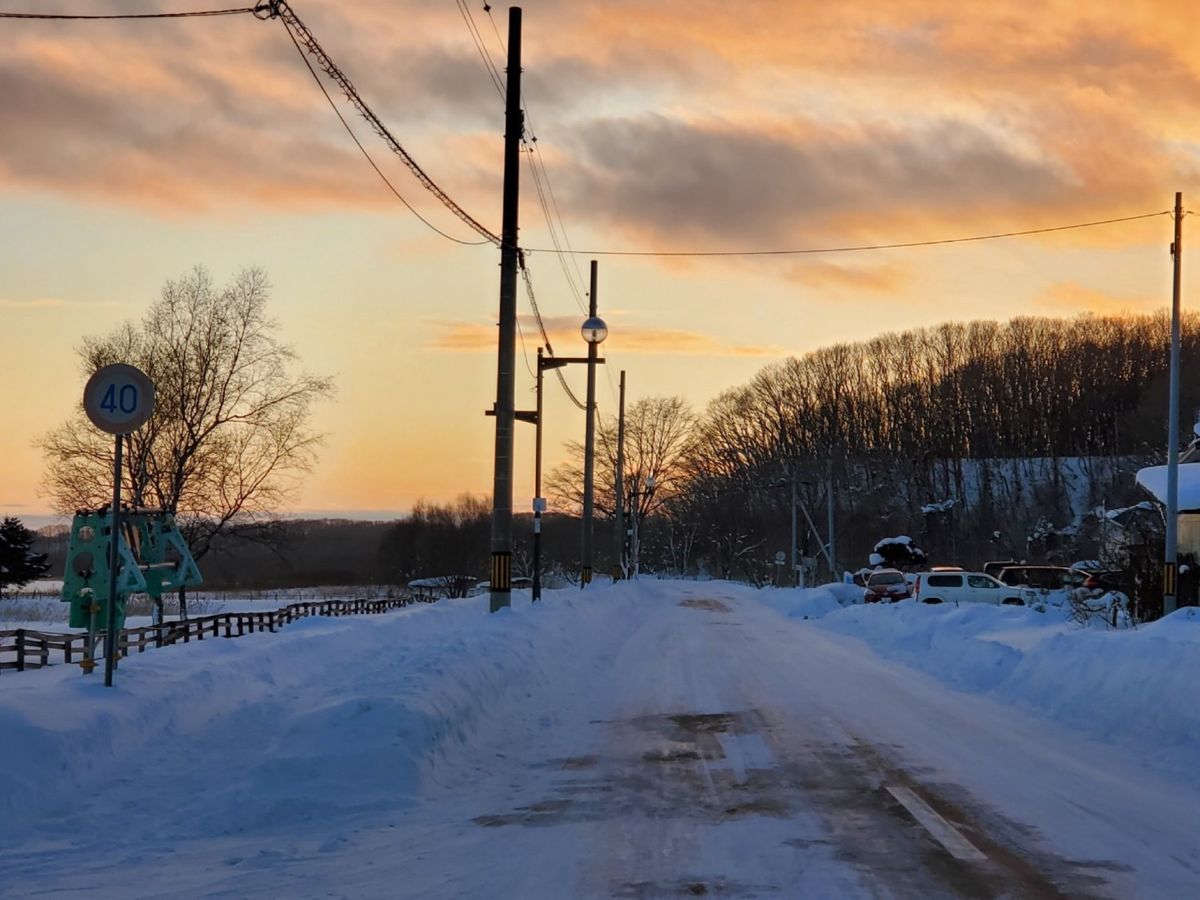 流氷本番には早かったので流氷館で我慢！😅
突然しんっと静まりかえった瞬間が...