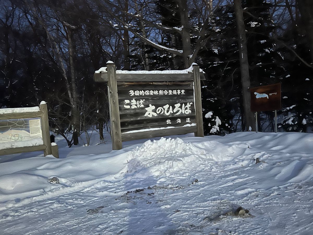 雪しかない❄️
こまば木のひろばもう少し早く行けばリス🐿も見れたかもしれな...