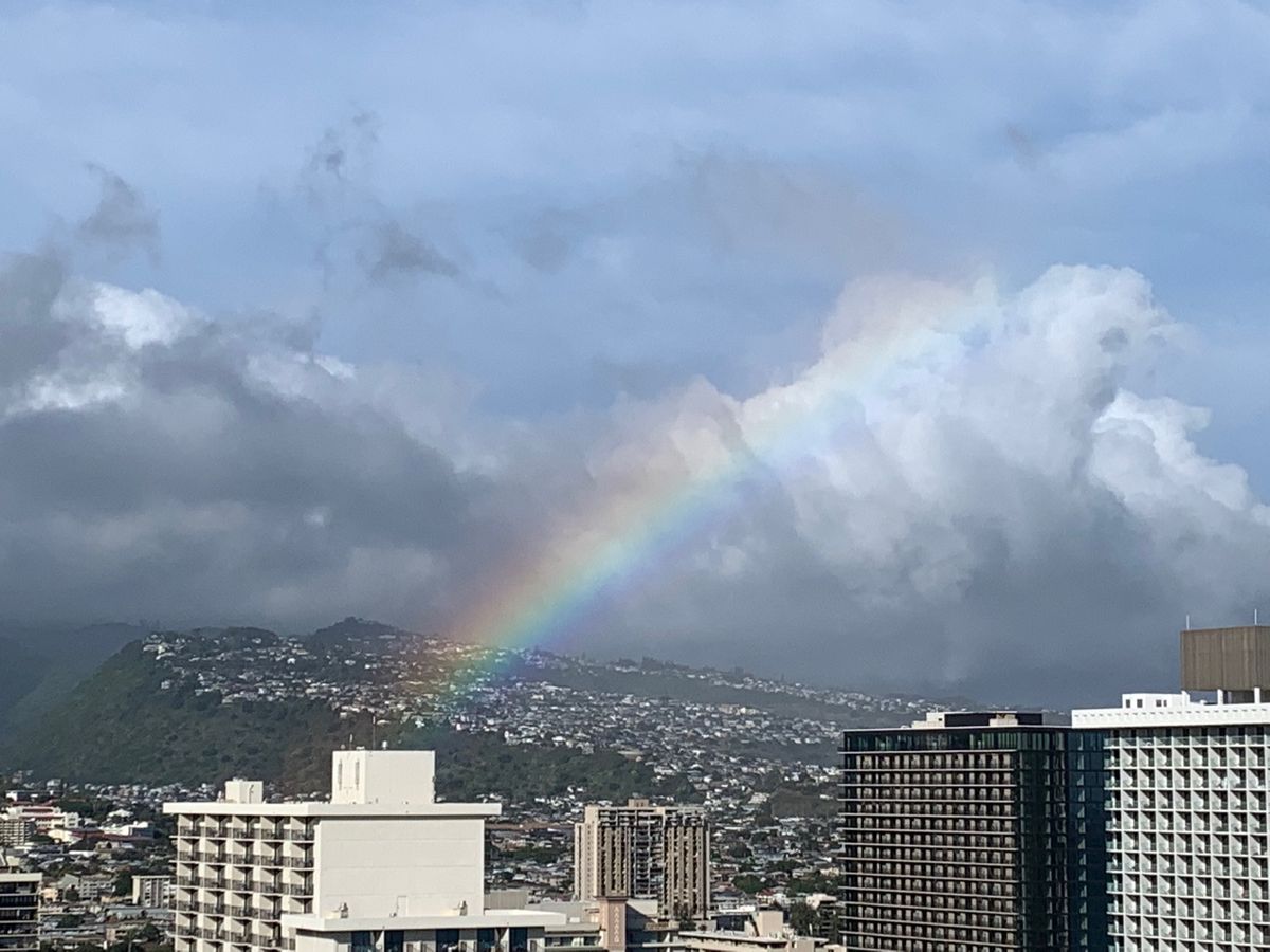 虹🌈

わりと毎日見ることができて、この日は長く出ていました♬