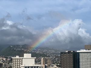 虹🌈

わりと毎日見ることができて、この日は長く出ていました♬