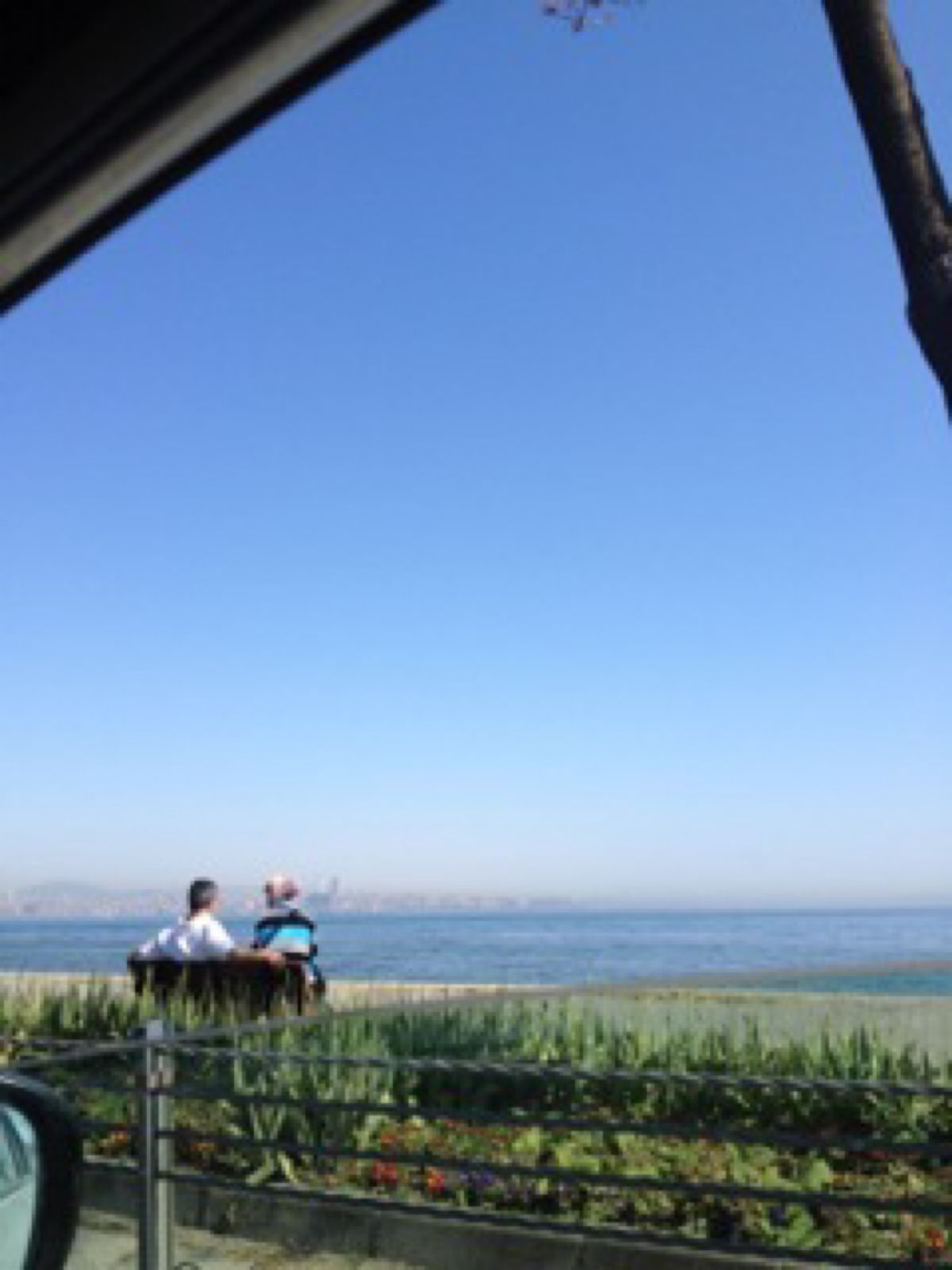 車でドライブ🚗皆運転荒いなぁ。