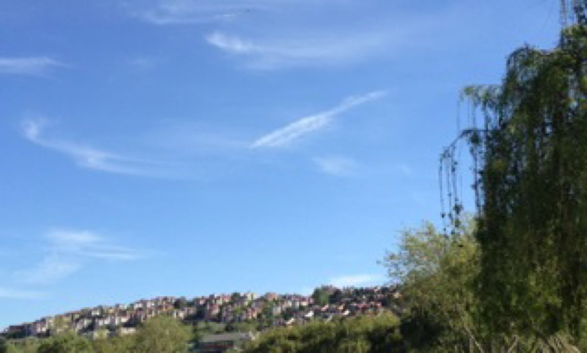 車でドライブ🚗皆運転荒いなぁ。