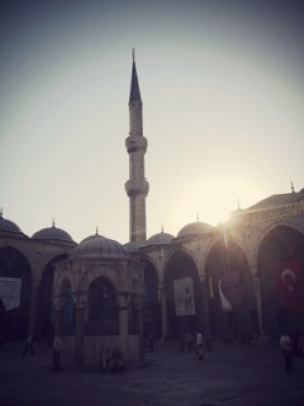 トルコ・イスタンブール「Istanbul🇹🇷」の写真：猫がいっぱい