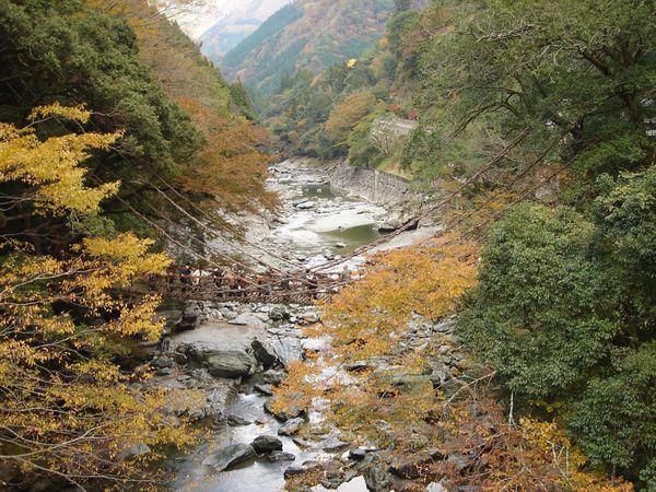 日本・徳島県「四国ツーリング」の写真