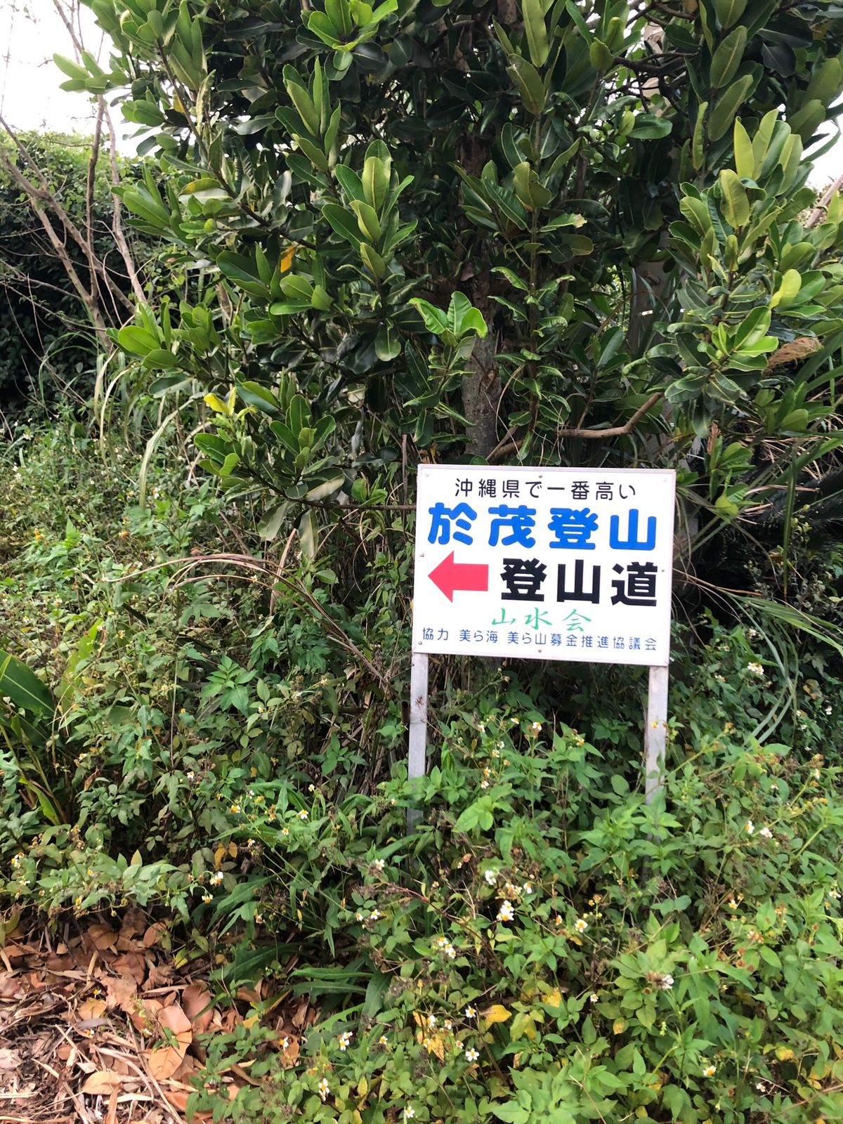 5月1日　於茂登岳トレッキング。何回来ても素晴らしい。山水会の皆様メンテナ...