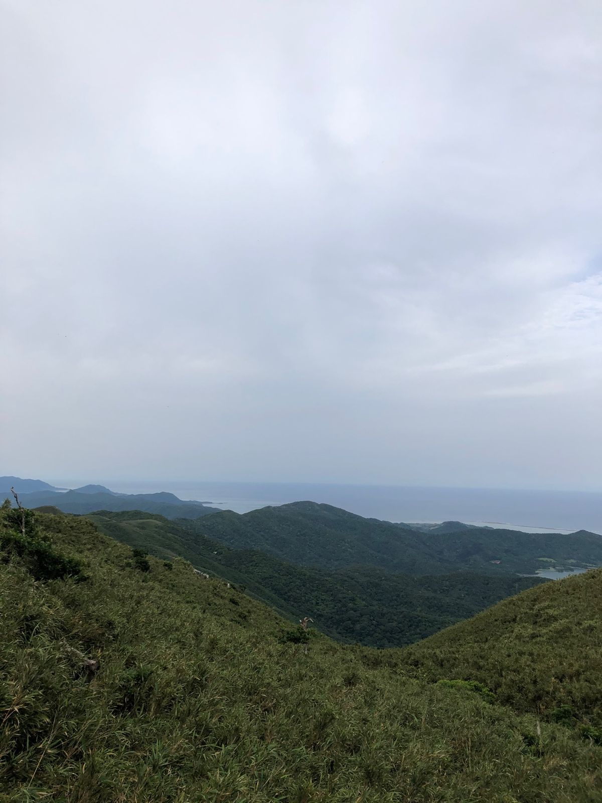 5月1日　於茂登岳トレッキング。何回来ても素晴らしい。山水会の皆様メンテナ...