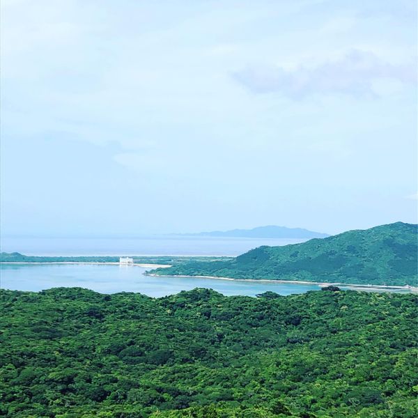 日本・沖縄県石垣市「石垣島」の写真：4月30日　今日は崎枝にある屋良部岳に行...