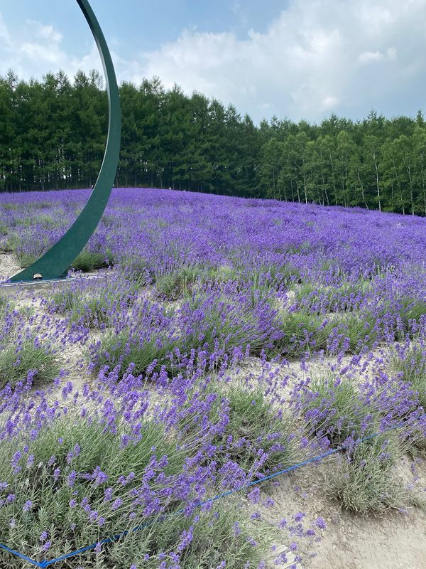 日本・北海道「北海道」の写真