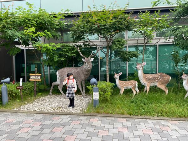 日本・北海道「北海道」の写真