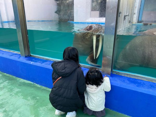日本・伊勢「伊勢神宮」の写真