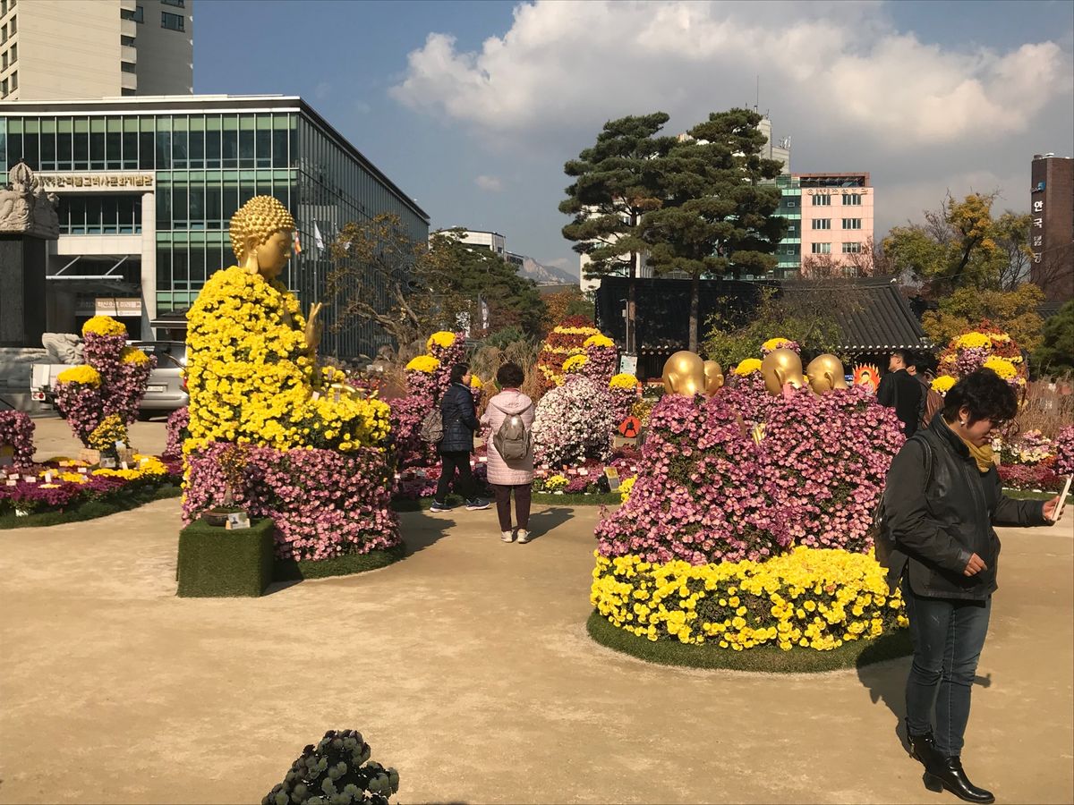 お花が綺麗だった、催しがあったのでふらっと入った