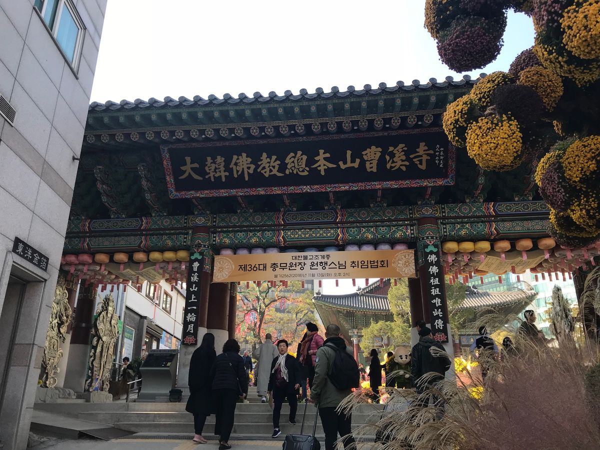 お花が綺麗だった、催しがあったのでふらっと入った