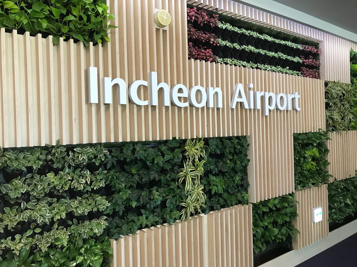 チェジュ航空でFUK→ICNフライト。