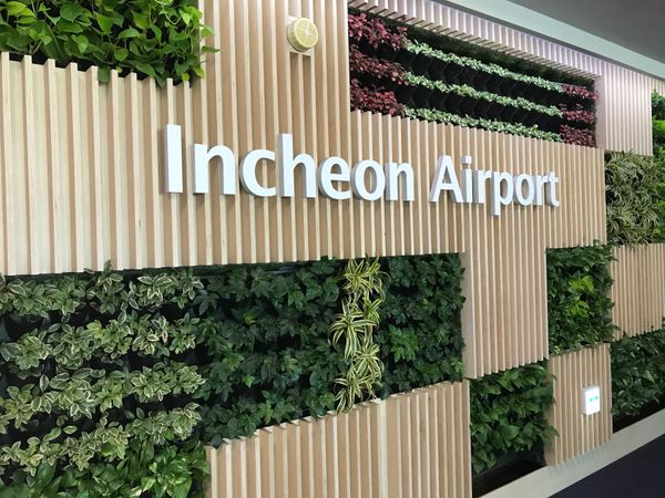 大韓民国 (韓国)・ソウル「韓国一人旅」の写真：チェジュ航空でFUK→ICNフライト。