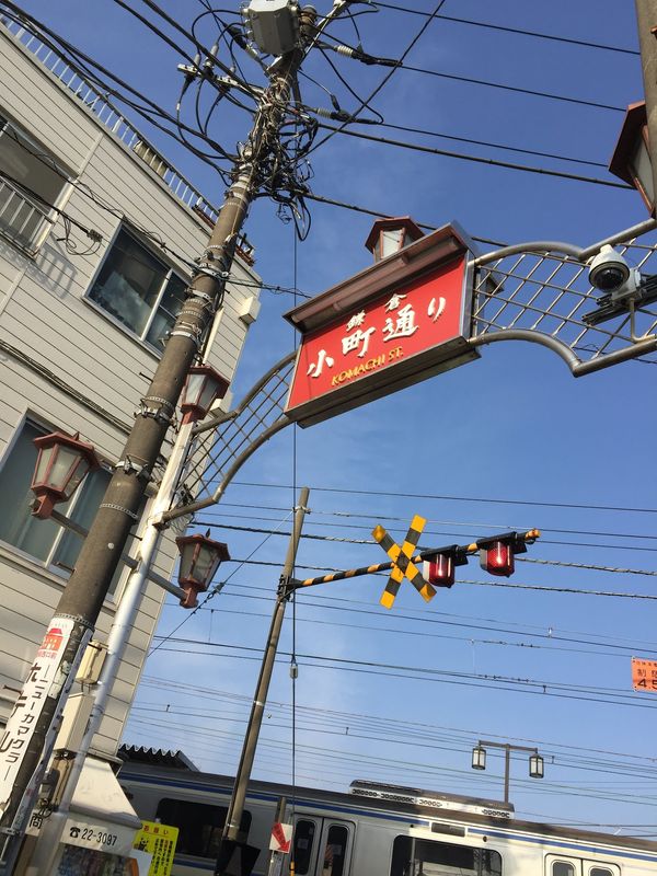 日本・神奈川県「鎌倉旅行」の写真：1日目

高速バス移動のため早朝の鎌倉散...