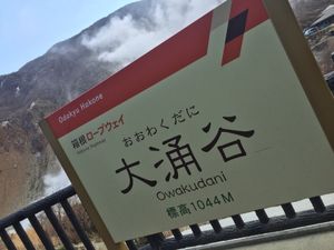 大涌谷で定番の黒たまごを！

旨みが増すって聞いてたの、本当〜？？って思い...