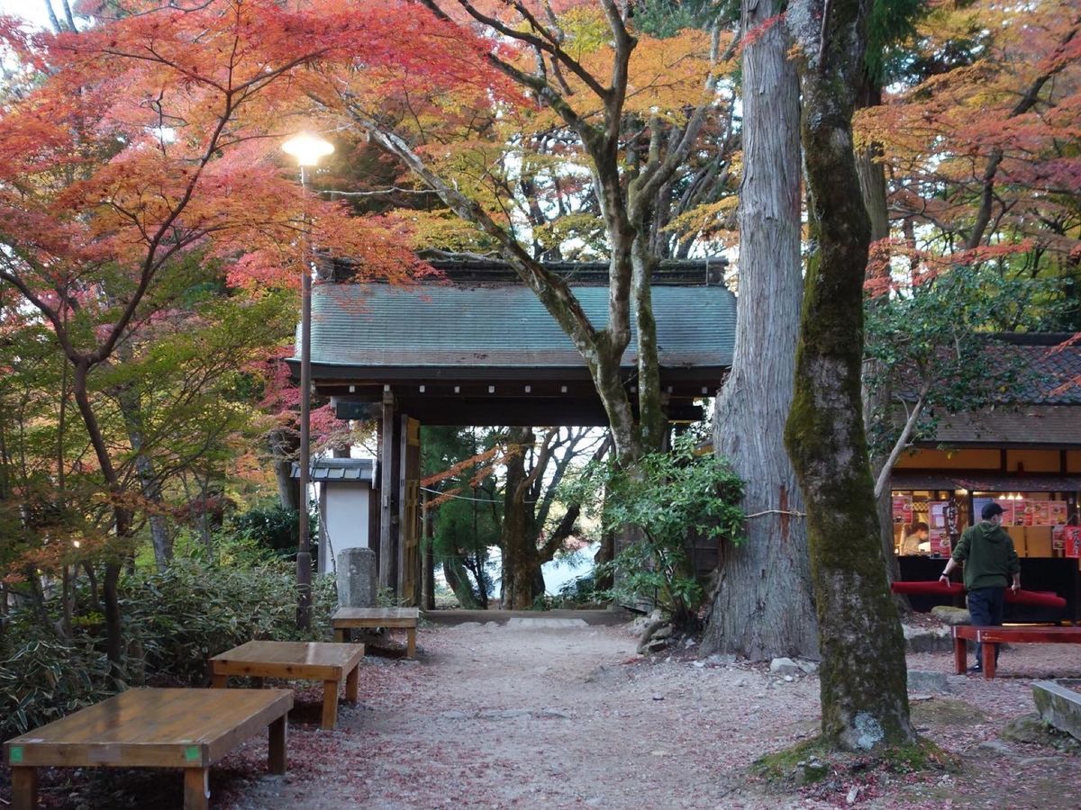 神戸市北区 有馬
瑞宝寺公園の紅葉