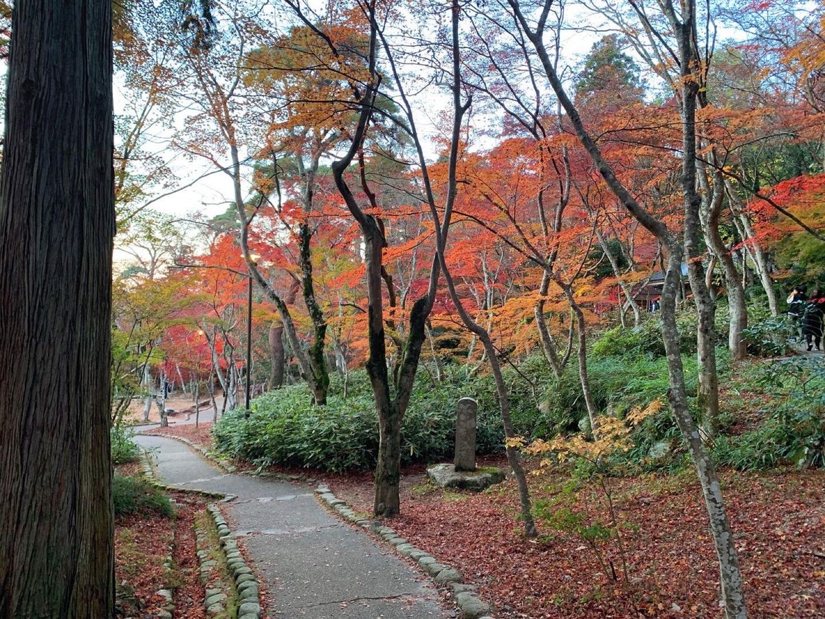 神戸市北区 有馬
瑞宝寺公園の紅葉