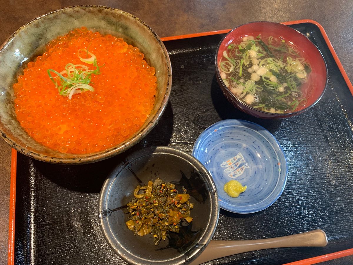 明石で明石焼きといくら丼