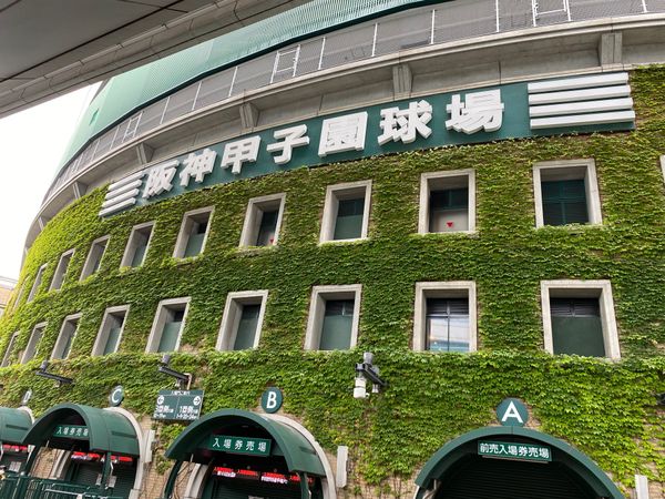 日本・兵庫県「高校野球観戦@甲子園」の写真