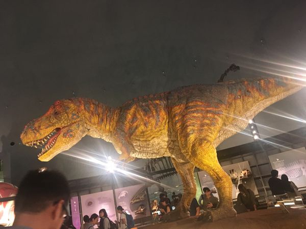 日本・福井県「福井往訪🦖」の写真