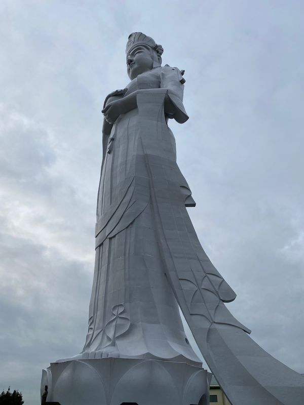 日本・千葉県「君津黄金期ツアー」の写真