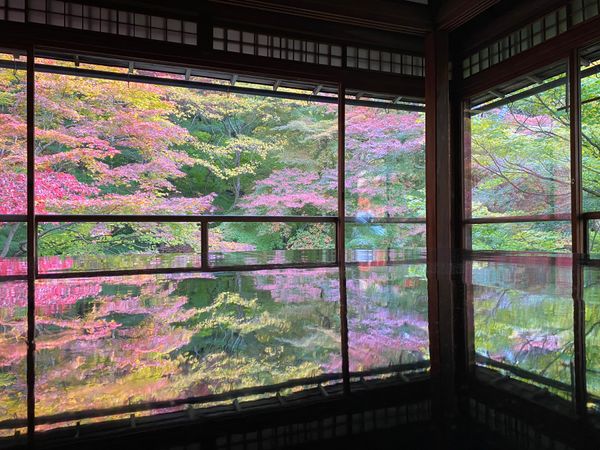 日本・京都府「京都小旅行」の写真