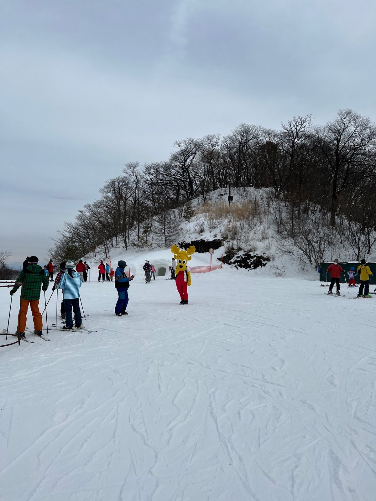 スキー3日目
足が攣りそう笑
子供たちは全然平気みたい
若さって素晴らしい...