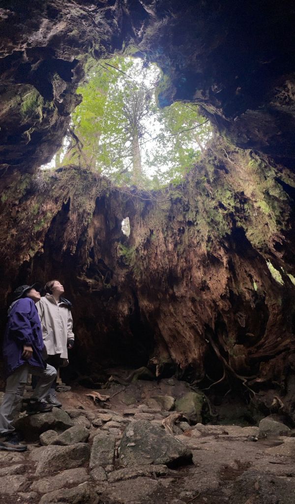 日本・屋久島「初めての屋久島⛰」の写真：屋久島といえばウィルソン株

中にすっぽ...