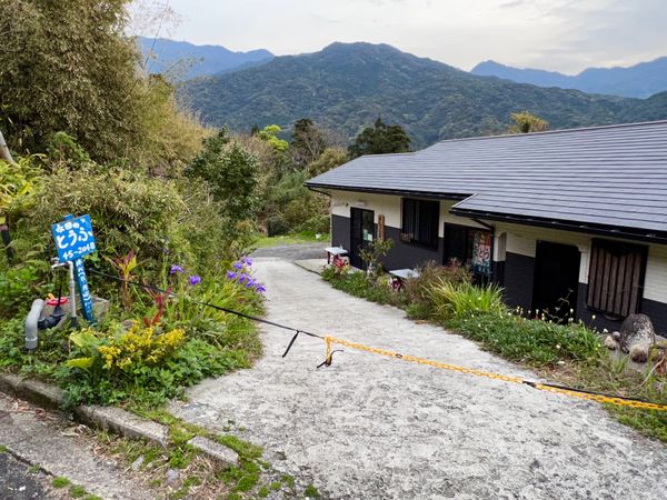 日本・屋久島「初めての屋久島⛰」の写真：永田のとうふ

お豆腐大好き人間なもんで...