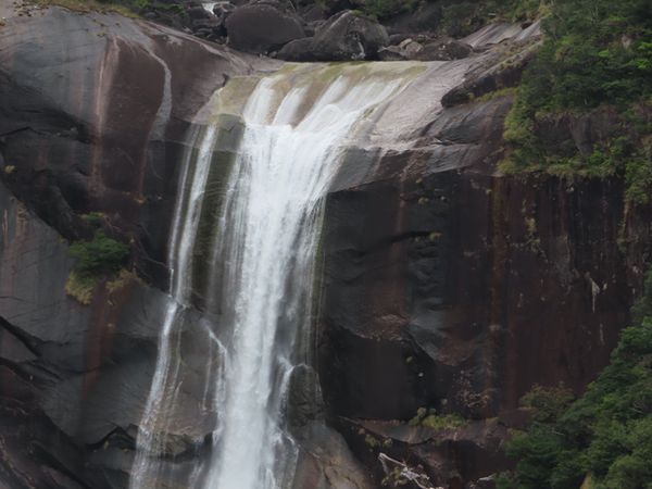 日本・屋久島「初めての屋久島⛰」の写真：千尋の滝

遠目から見ても
なかなか迫力...